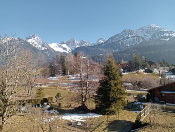 Wohnung zu verkaufen in Château-d'Oex (2)