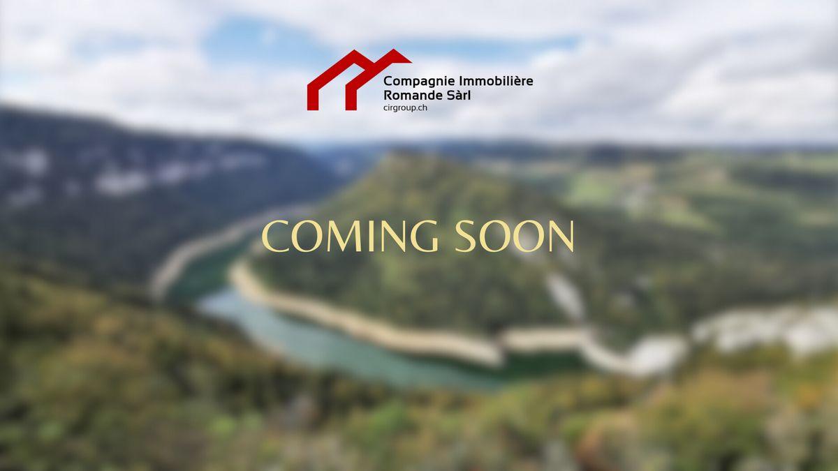 A vendre   Suisse - cChic-immoHub votre portail immobilier