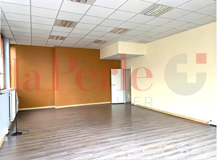 Commercial & industry for sale in Chêne-Bourg - Smart Propylaia (5)