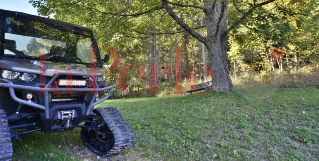 Maison à vendre à Morgins - Smart Propylaia (11)