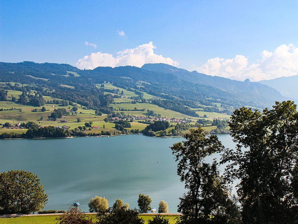 A vendre   Suisse - cChic-immoHub votre portail immobilier
