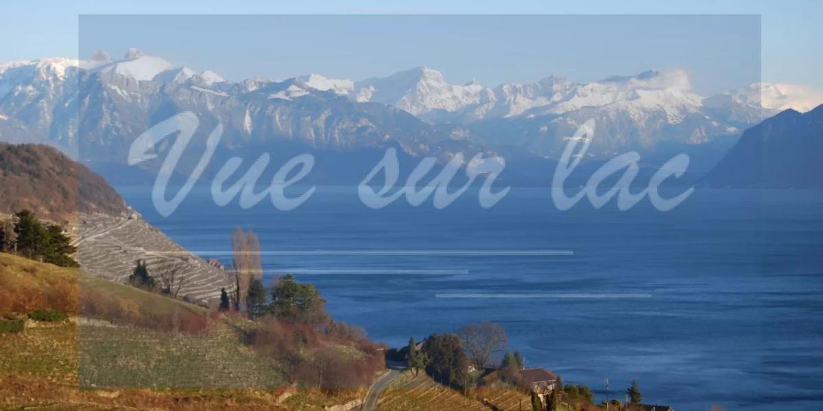 In vendita   Svizzera - 
cChic-immoHub Il vostro portale immobiliare