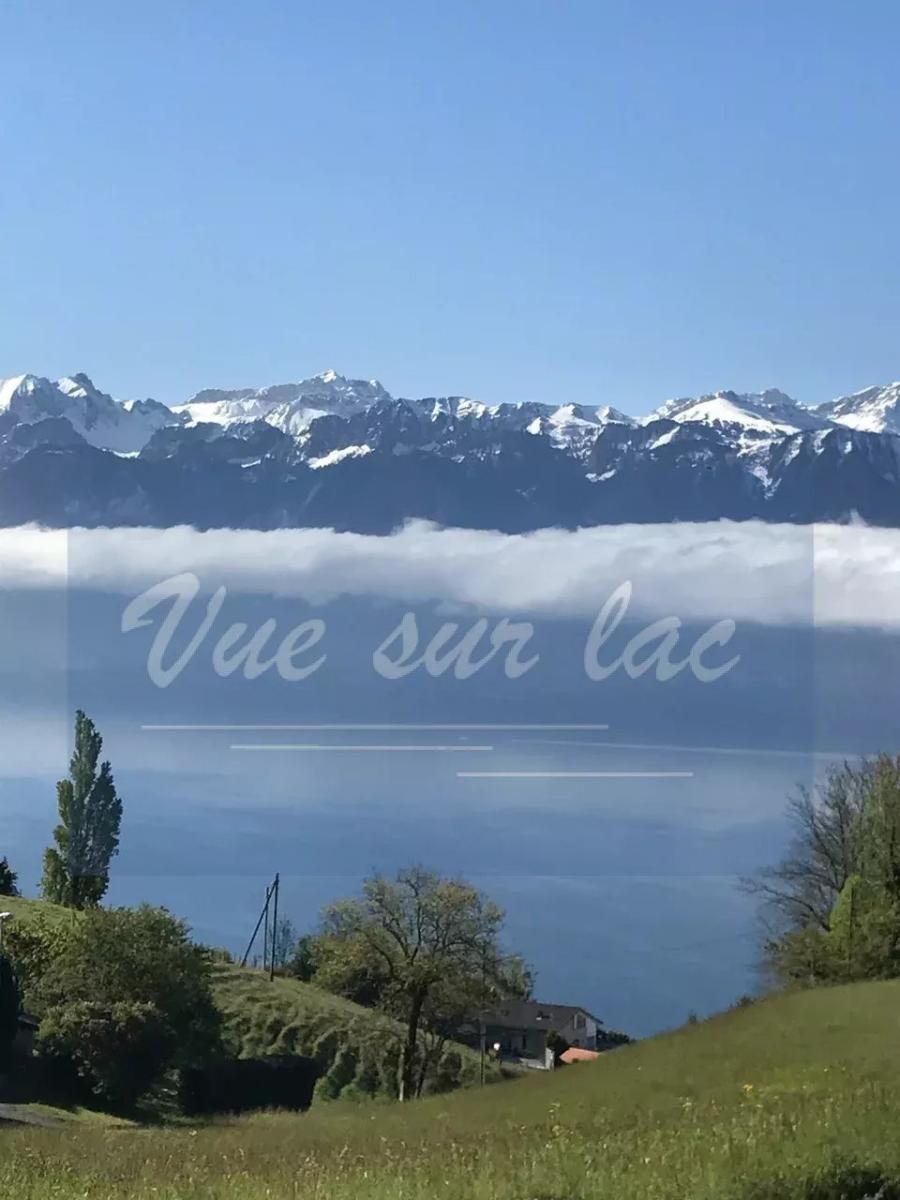 In vendita   Svizzera - 
cChic-immoHub Il vostro portale immobiliare