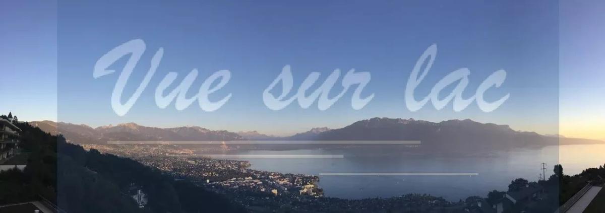 In vendita   Svizzera - 
cChic-immoHub Il vostro portale immobiliare