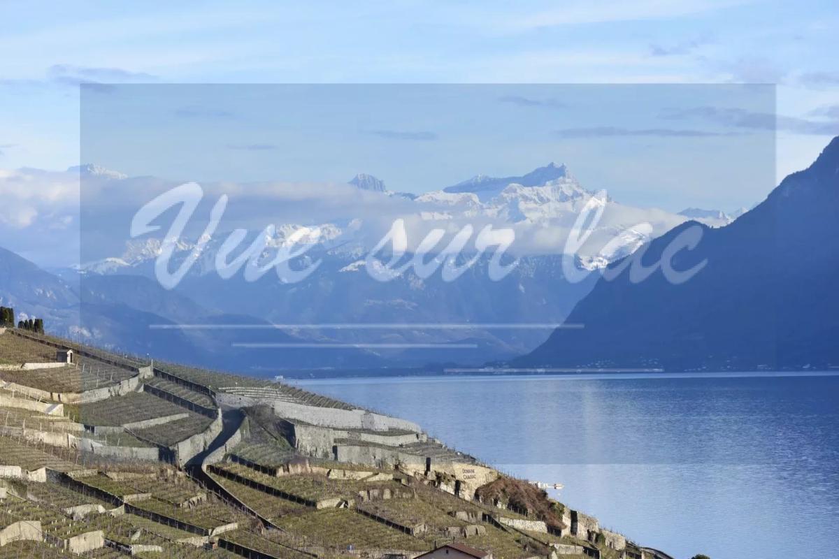 In vendita   Svizzera - 
cChic-immoHub Il vostro portale immobiliare