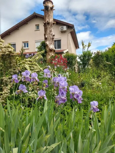 House for sale in Cuisery (3)