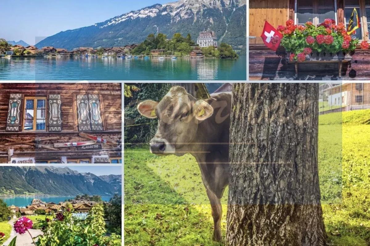 A vendre   Suisse - cChic-immoHub votre portail immobilier