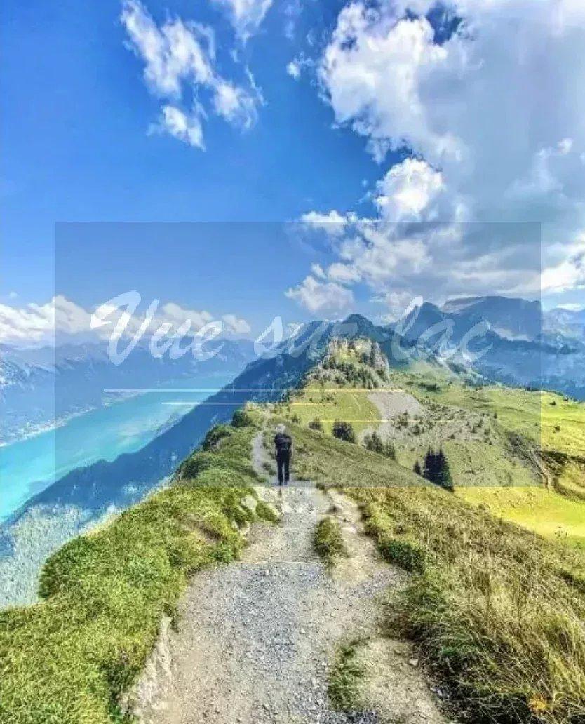 A vendre   Suisse - cChic-immoHub votre portail immobilier