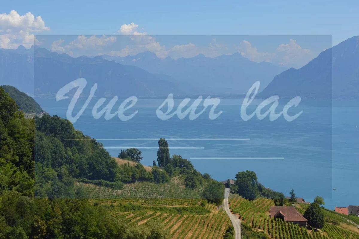 A vendre   Suisse - cChic-immoHub votre portail immobilier