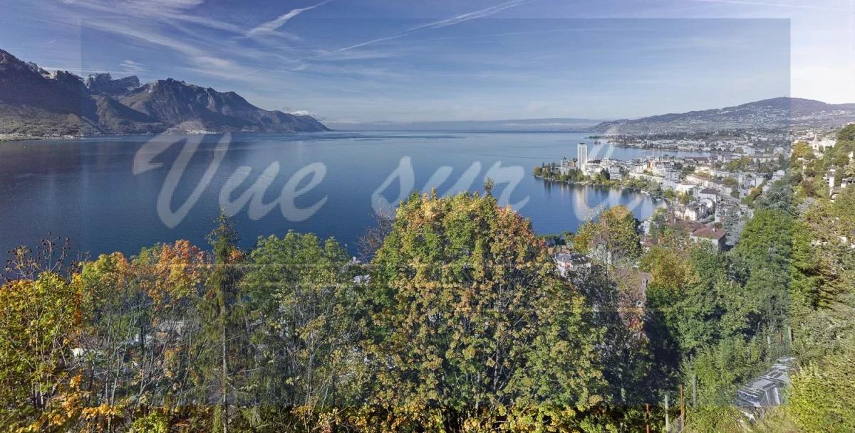 A vendre   Suisse - partenariat avec Smart-Propylaia Portail Immobilier