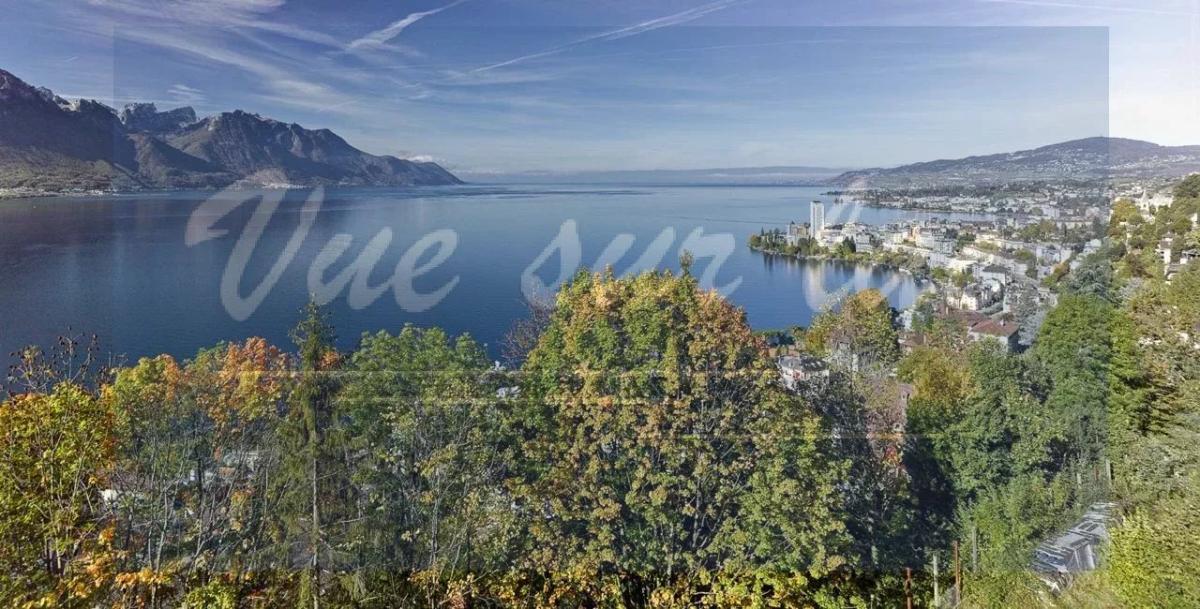 A vendre   Suisse - partenariat avec Smart-Propylaia Portail Immobilier