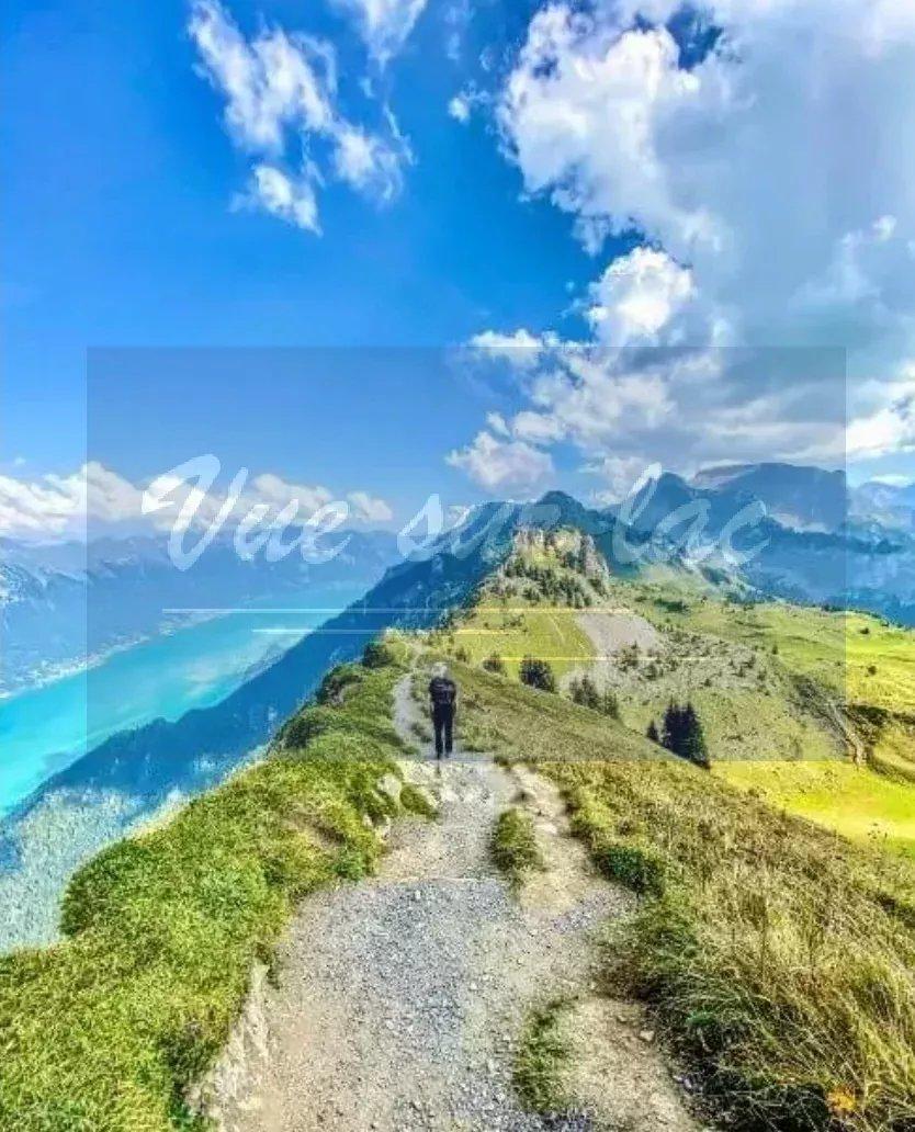 A vendre   Suisse - cChic-immoHub votre portail immobilier
