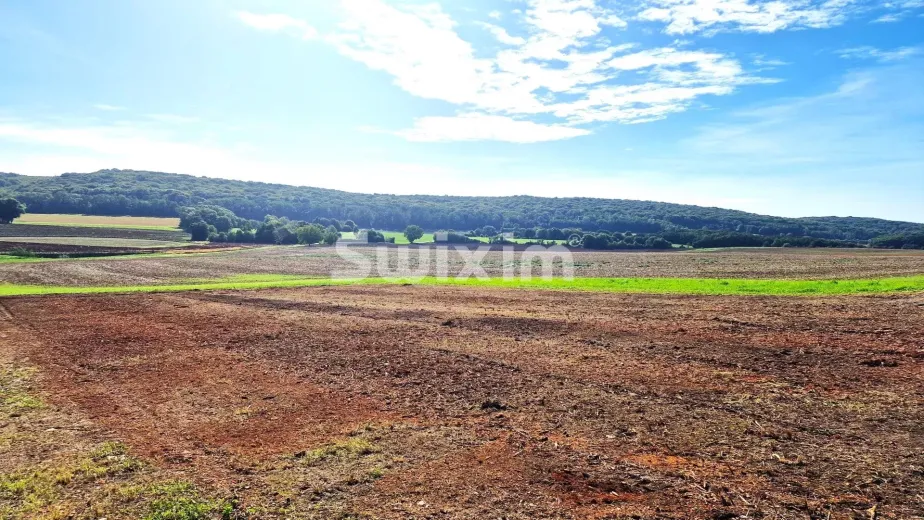 Plot for sale in Avrigney-Virey - Building plot for sale in Avrigney-Virey, 880 m2 - Smart Propylaia (3)