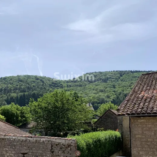 House for sale in Cuiseaux (2)