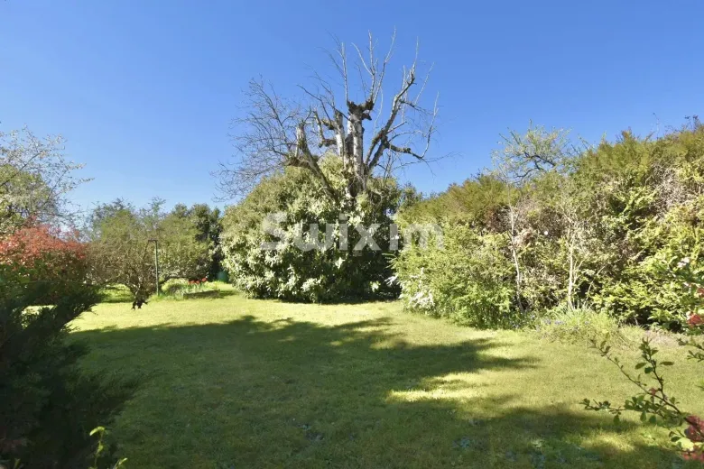 Maison à vendre à Schweighouse-Sur-Moder (4)