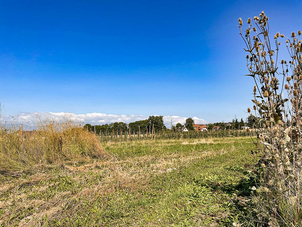For sale   Switzerland - cChic-immoHub your real estate portal