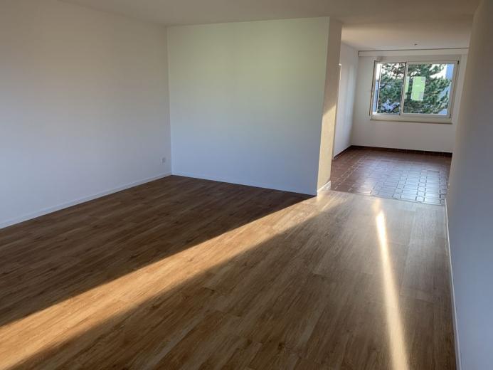 Appartement à louer à Romanshorn - Appartement à louer à Romanshorn, 4.5 pièces, 106 m2 - Smart Propylaia (6)