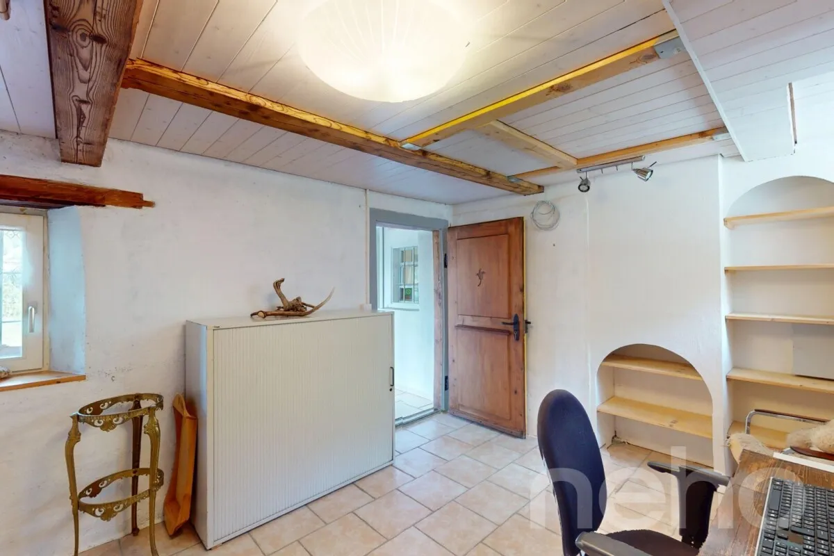 House for sale in Valzeina - Smart Propylaia (10)