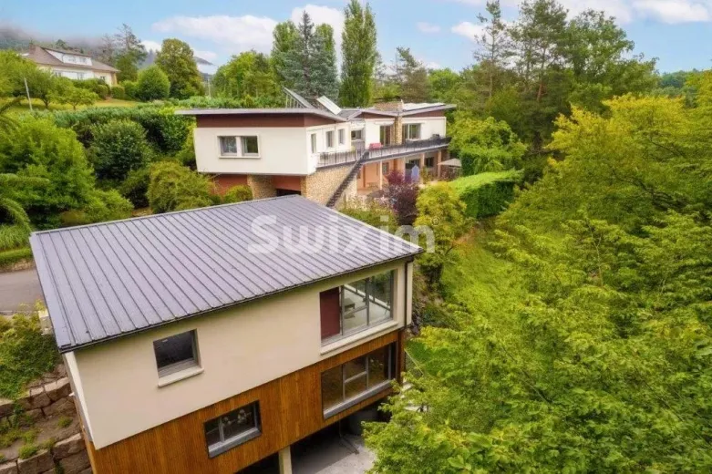 House for sale in Saint-Die-Des-Vosges (11)