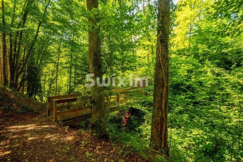 Casa in vendita a Saint-Die-Des-Vosges - Smart Propylaia (16)