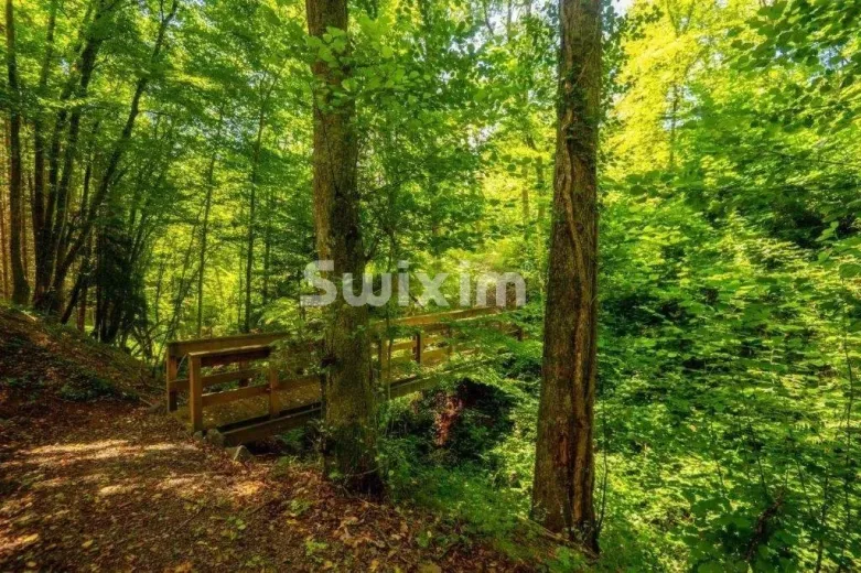 House for sale in Saint-Die-Des-Vosges (16)