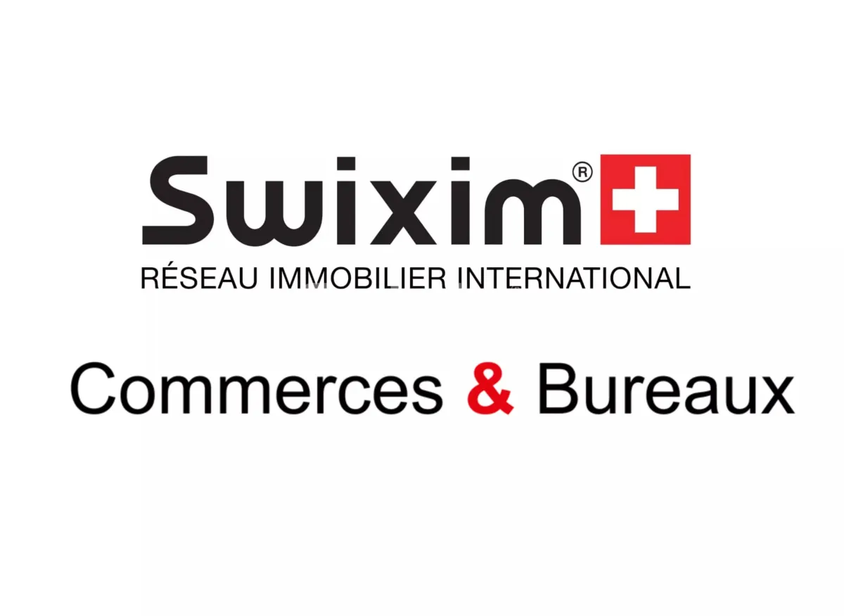 Commercio/industria in vendita a Ribeauville - Smart Propylaia (2)