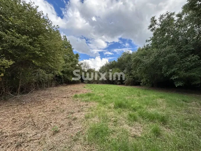 Plot for sale in Quarre-Les-Tombes (8)