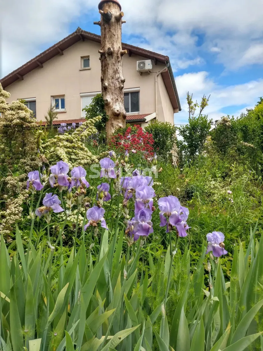 Maison à vendre à Cuisery - Maison agréable cœur de village - Smart Propylaia (3)