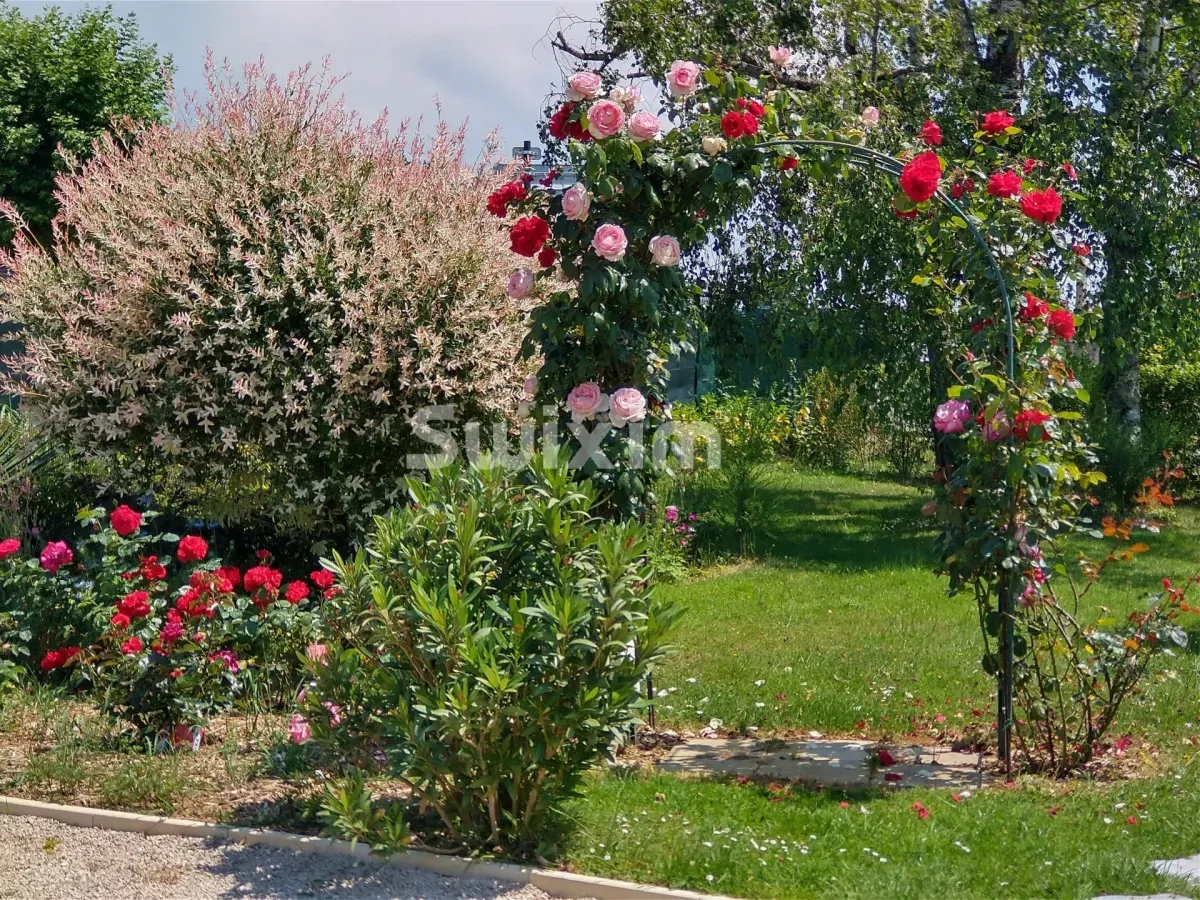 Maison à vendre à Cuisery - Smart Propylaia (4)