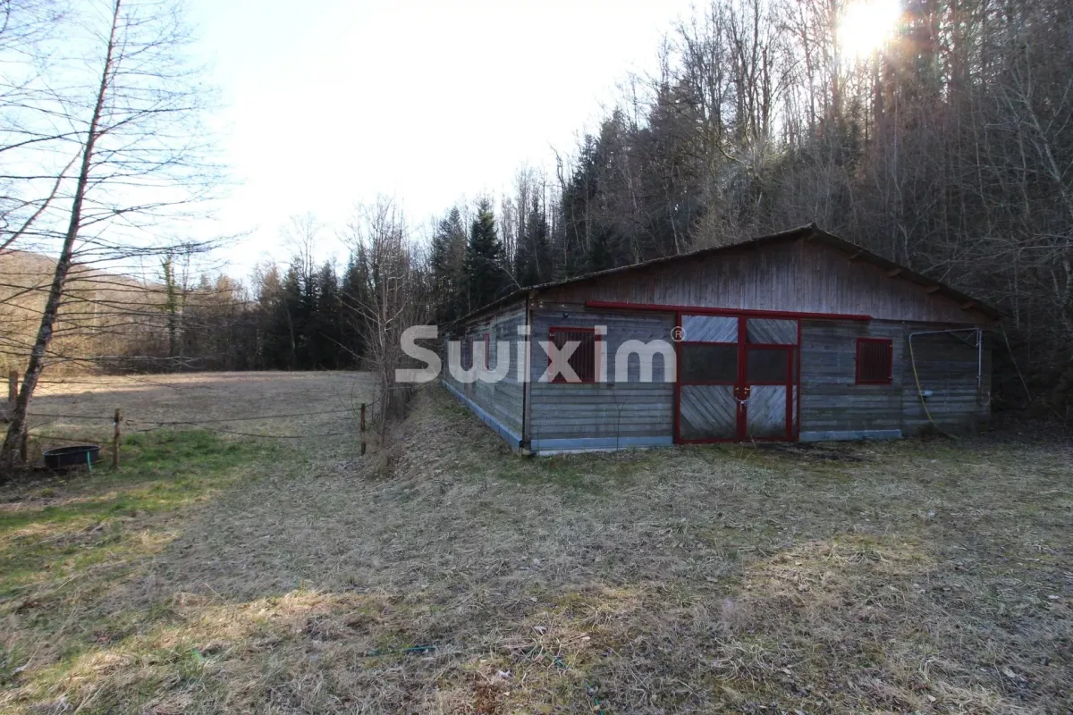 Maison à vendre à Giromagny - Smart Propylaia (14)