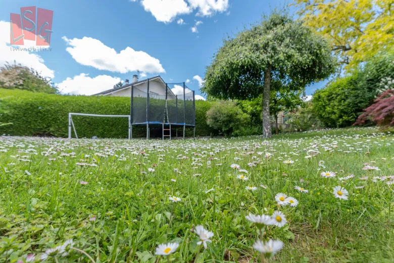 Maison à vendre à Challex (10)