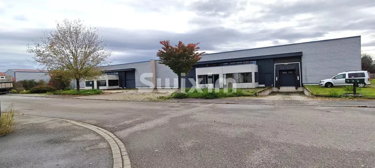 Commercial & industry for sale in Selestat - Smart Propylaia (2)