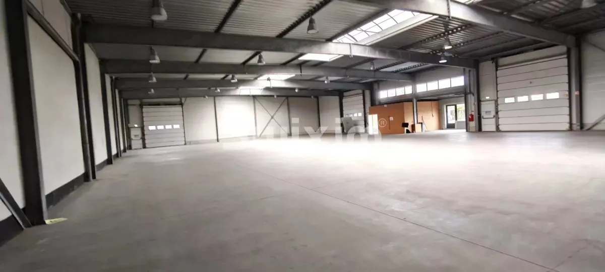 Commercial & industry for sale in Selestat - Storage room for sale in Selestat, 1000 m2 - Smart Propylaia (3)
