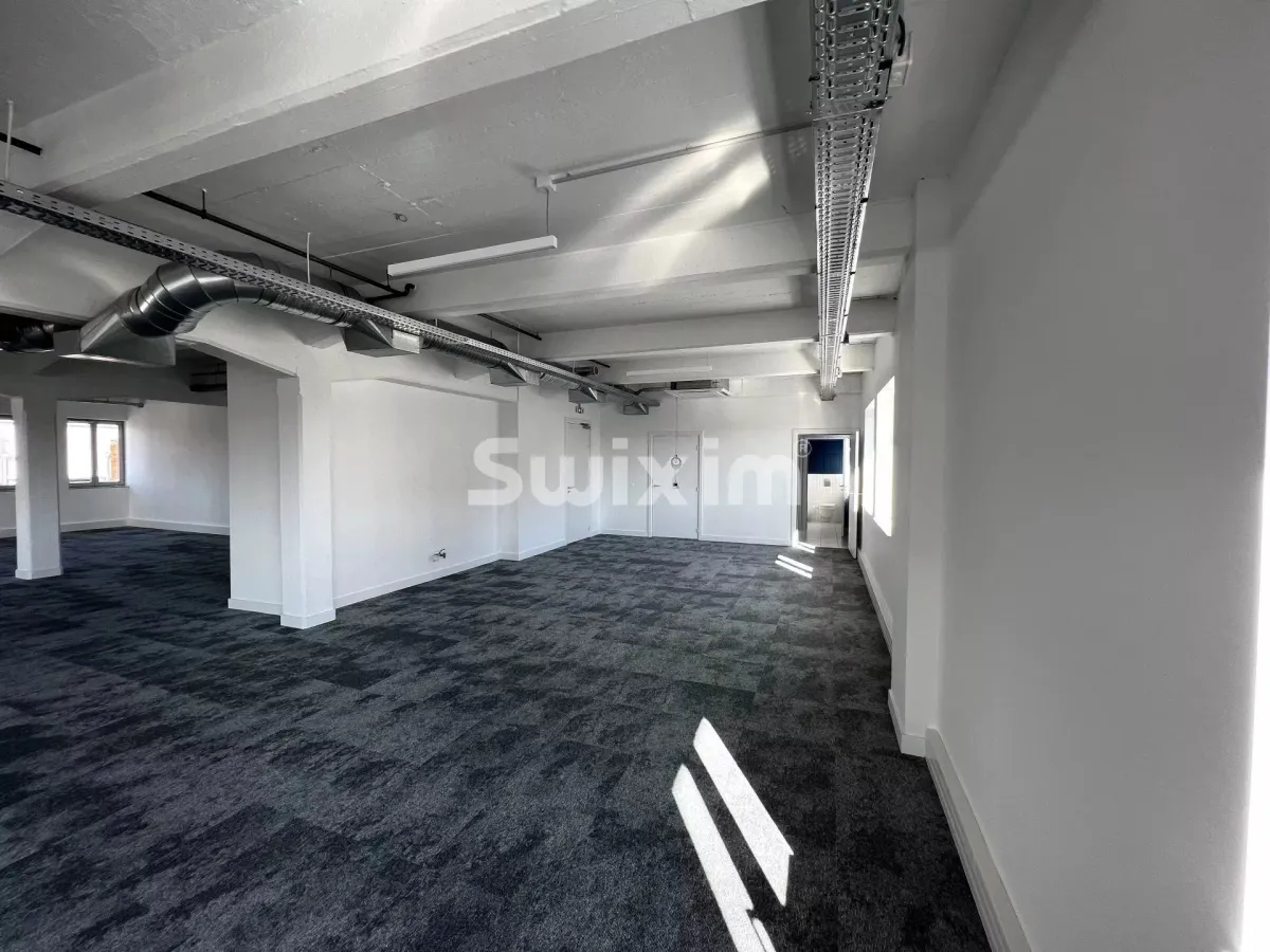 Commerce/industrie à vendre à Strasbourg - Smart Propylaia (4)
