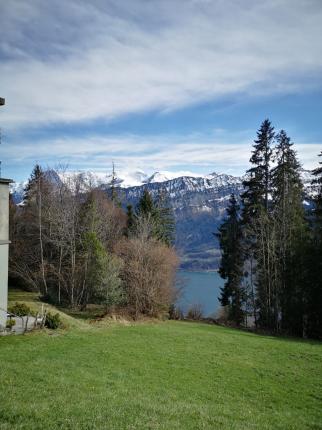 Appartamento in vendita a Beatenberg (4)