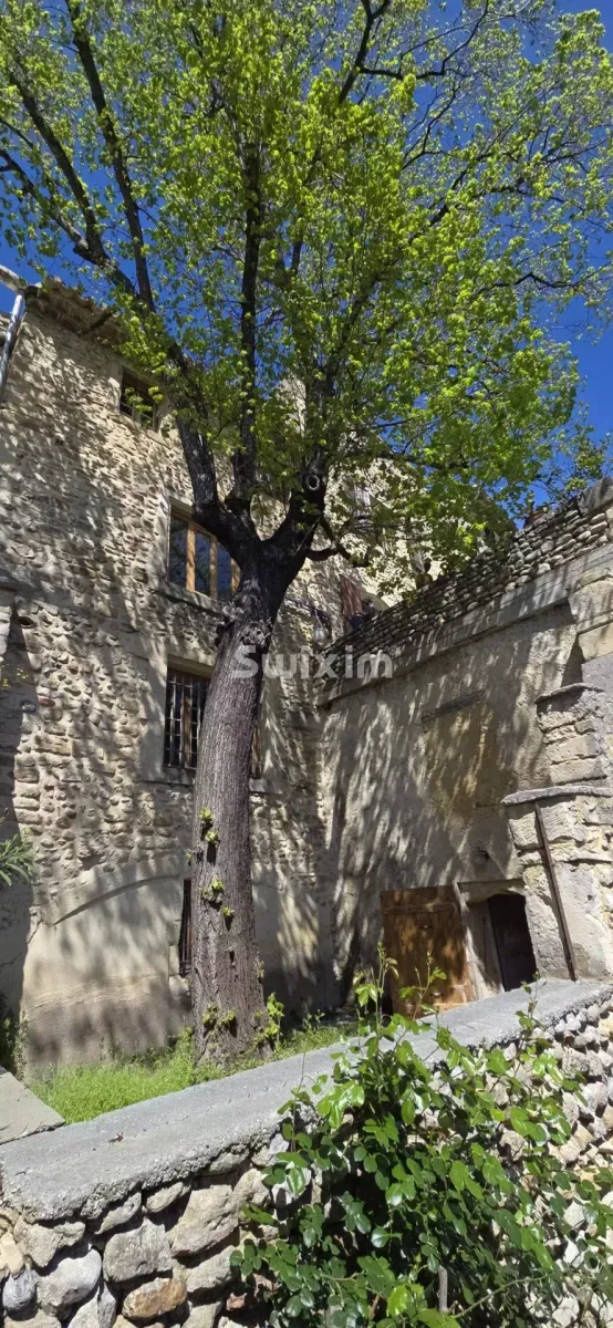 Haus zu verkaufen in Visan - Einfamilienhaus zu verkaufen in Visan, 8 Zimmer, 273 m2 - Smart Propylaia (9)