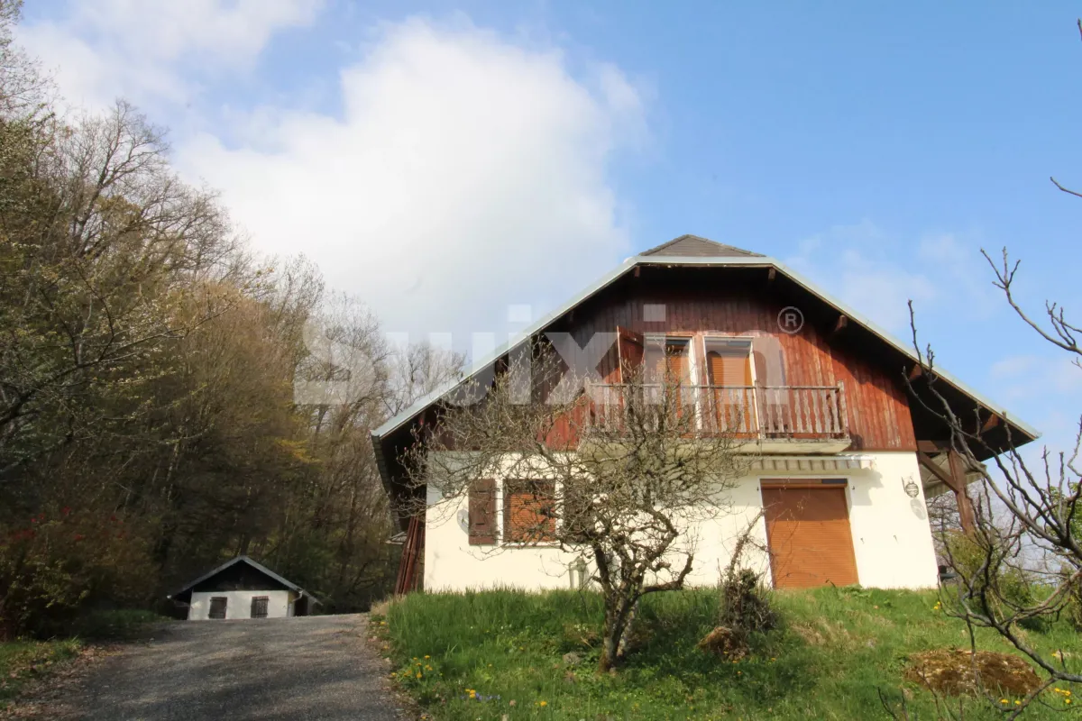 House for sale in La Chapelle-Du-Mont-Du-Chat - Exceptional property on Lac du Bourget - Smart Propylaia (3)