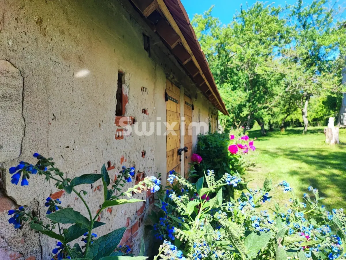 Casa in vendita a Seurre - Smart Propylaia (20)