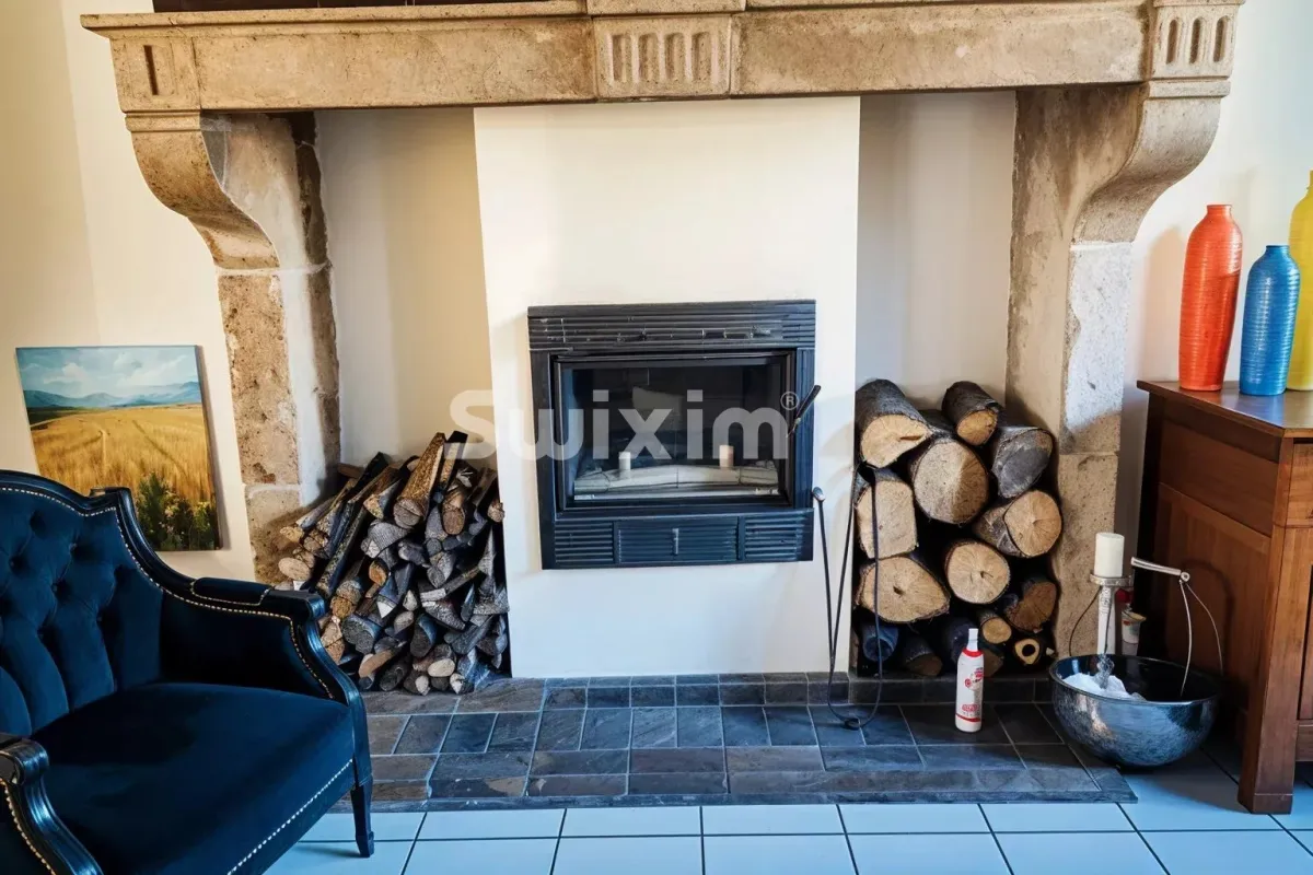 Casa in vendita a Seurre - Smart Propylaia (5)