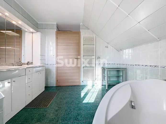 Maison à vendre à Saint-Genis-Pouilly (11)