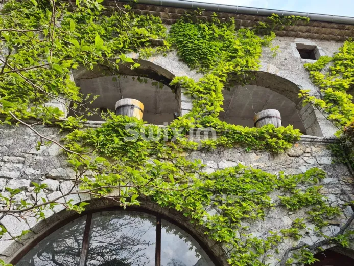 House for sale in Lavilledieu (2)