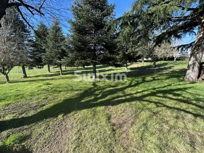 Terreno in vendita a Sainte-Magnance (9)