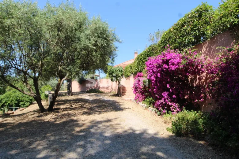 Maison à vendre à Draguignan (4)