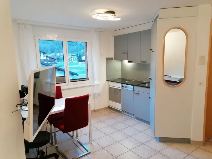 Wohnung zu verkaufen in Saas-Grund - Smart Propylaia (2)