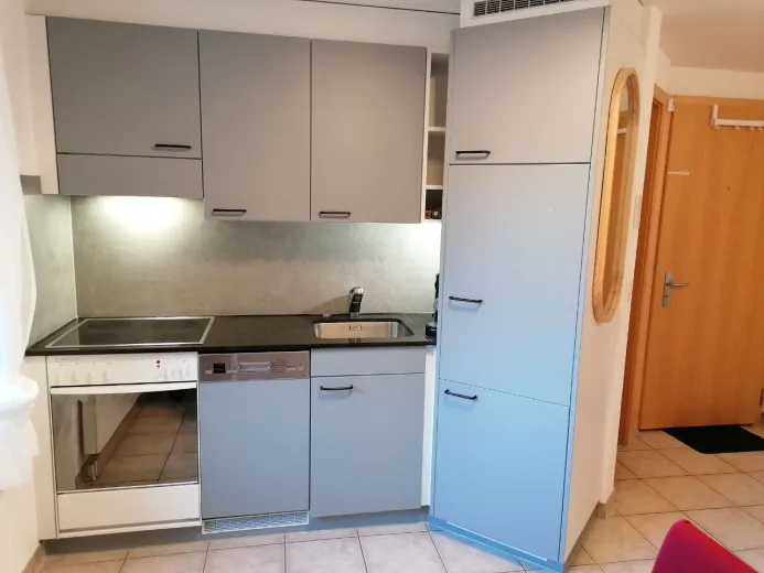 Wohnung zu verkaufen in Saas-Grund - Smart Propylaia (4)