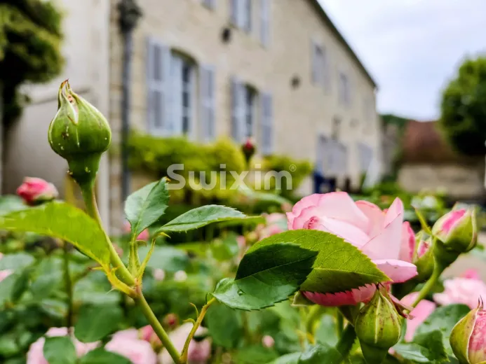 Maison à vendre à Beaune