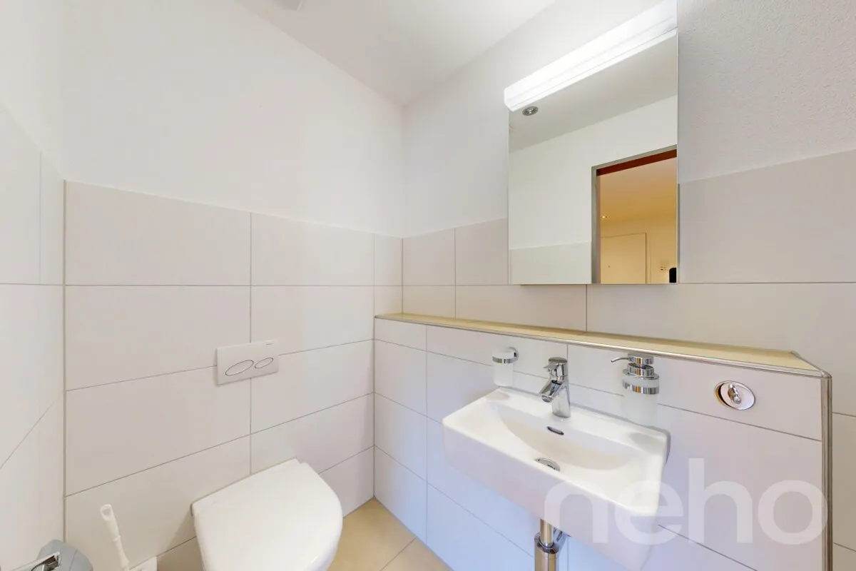 Triengen zu verkaufen Wohnung Schweiz - cChic-immoHub Ihr Immobilienportal