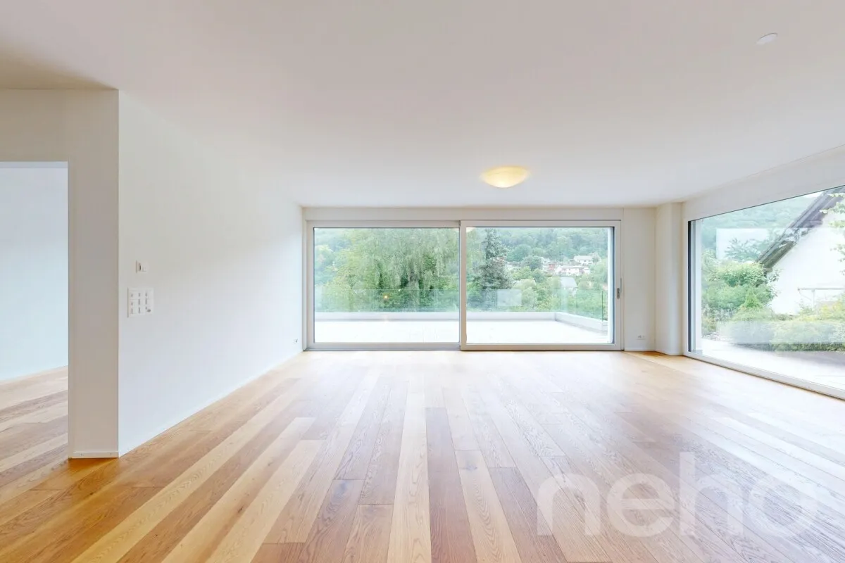Flüh zu verkaufen Zwillingshaus Schweiz - cChic-immoHub Ihr Immobilienportal