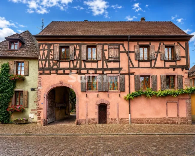 Commercial & industry for sale in Bergheim (3)