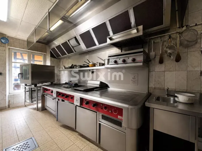 Commercial & industry for sale in Bergheim (6)